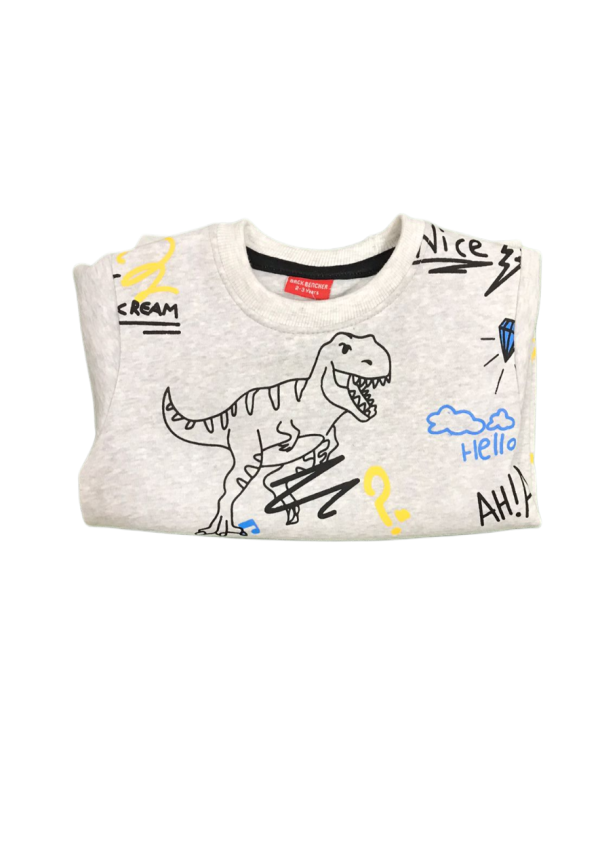 Boys shirt, boys sweat shirt,