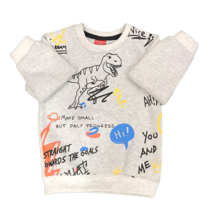 Boys Sweat Shirt Dinosaur